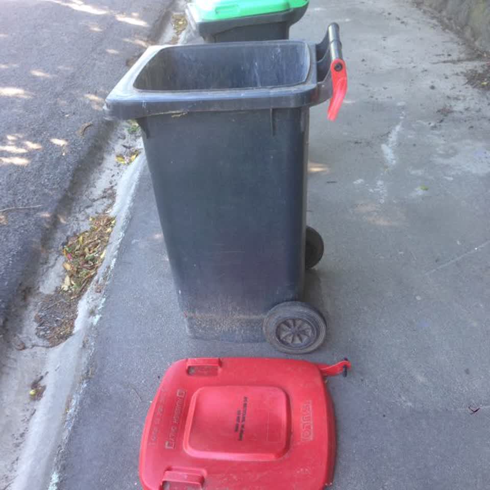 The photograph attached to this rubbish/recycling report