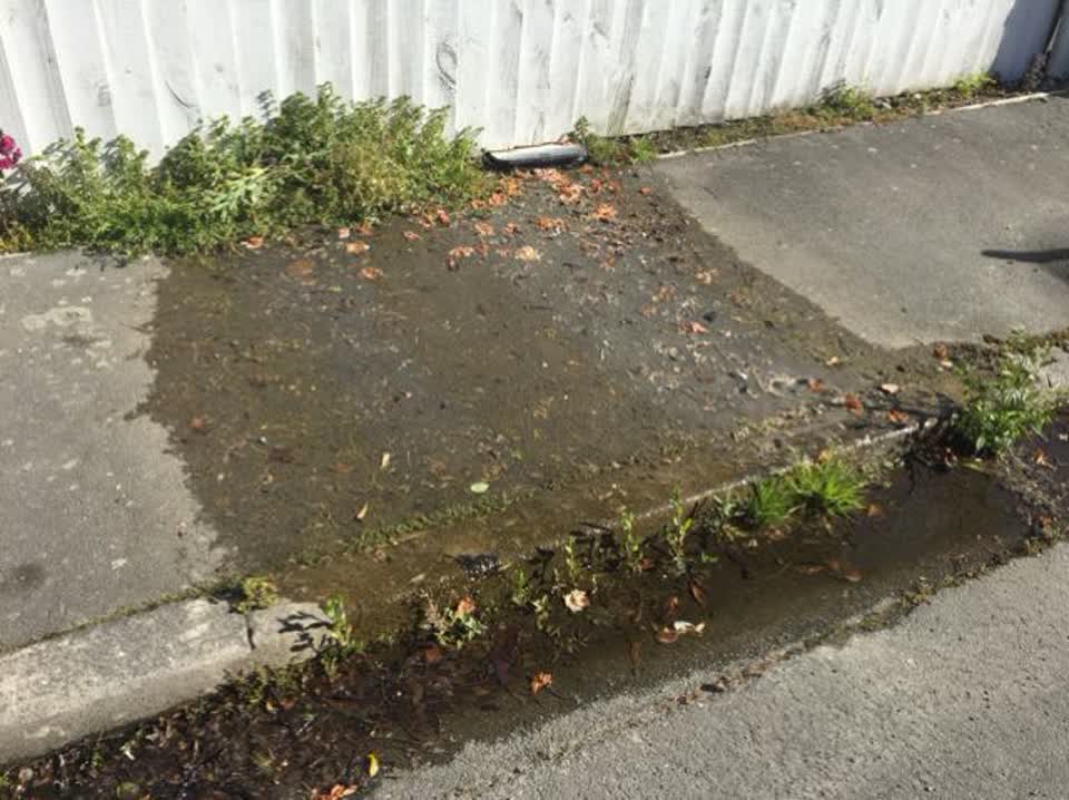 The photograph attached to this water supply report
