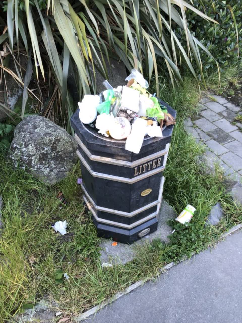 The photograph attached to this rubbish/recycling report
