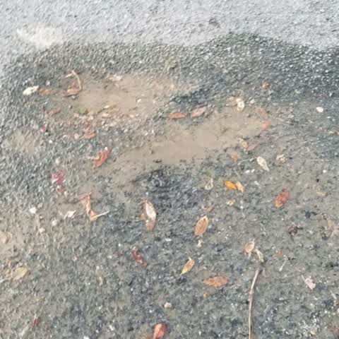 Flooding, a report photo