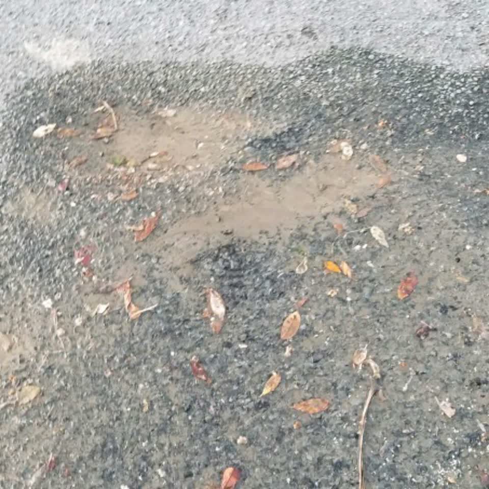 The photograph attached to this flooding report