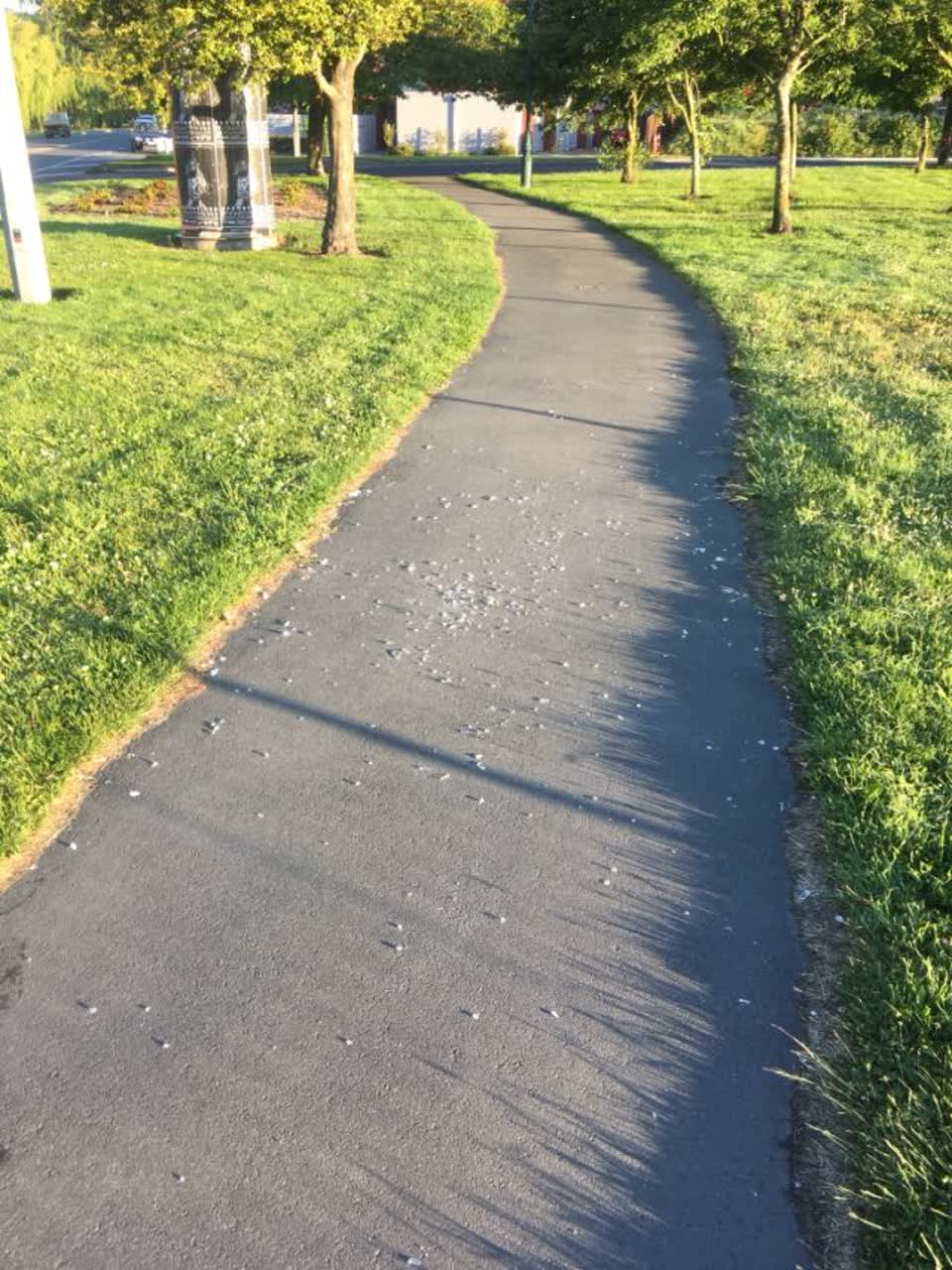 The photograph attached to this roading/streets report