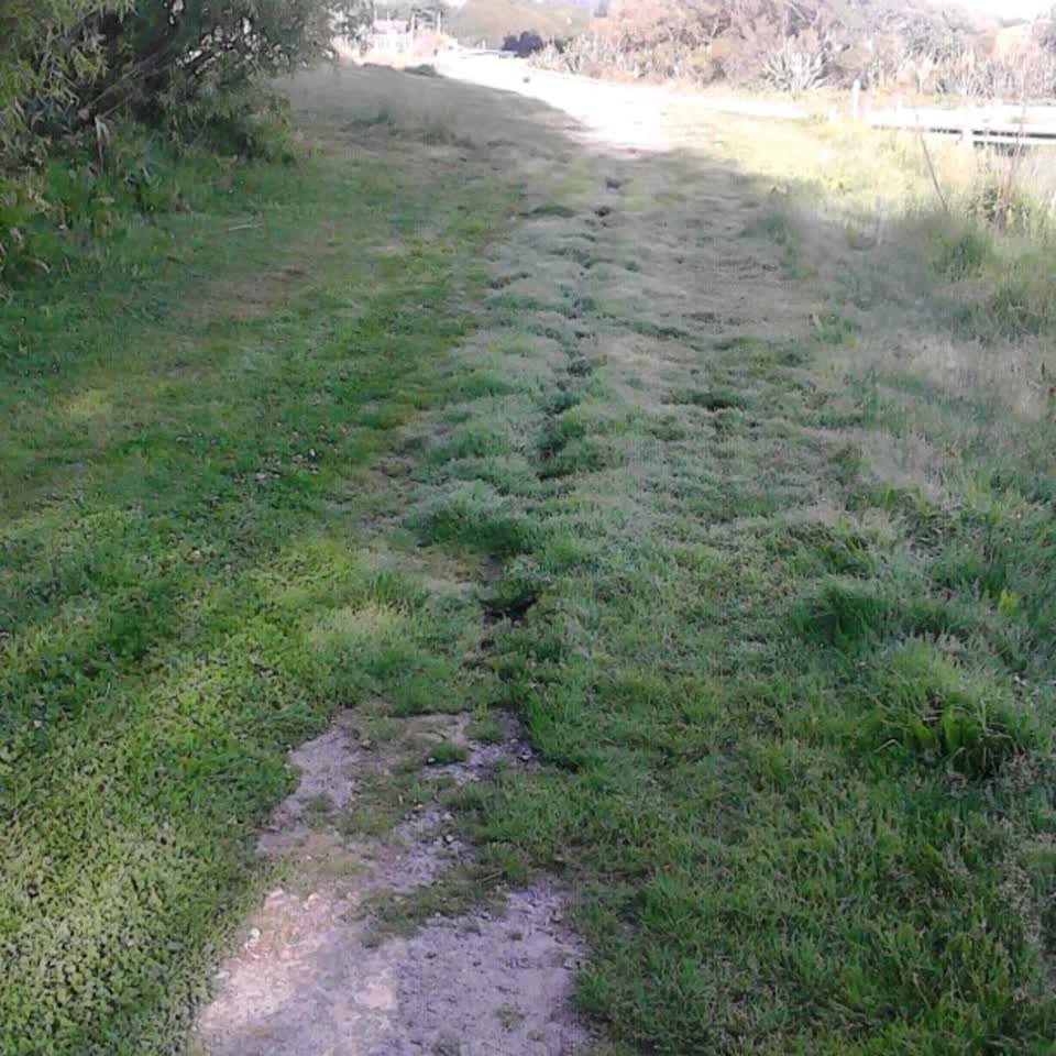 The photograph attached to this wastewater/stormwater report