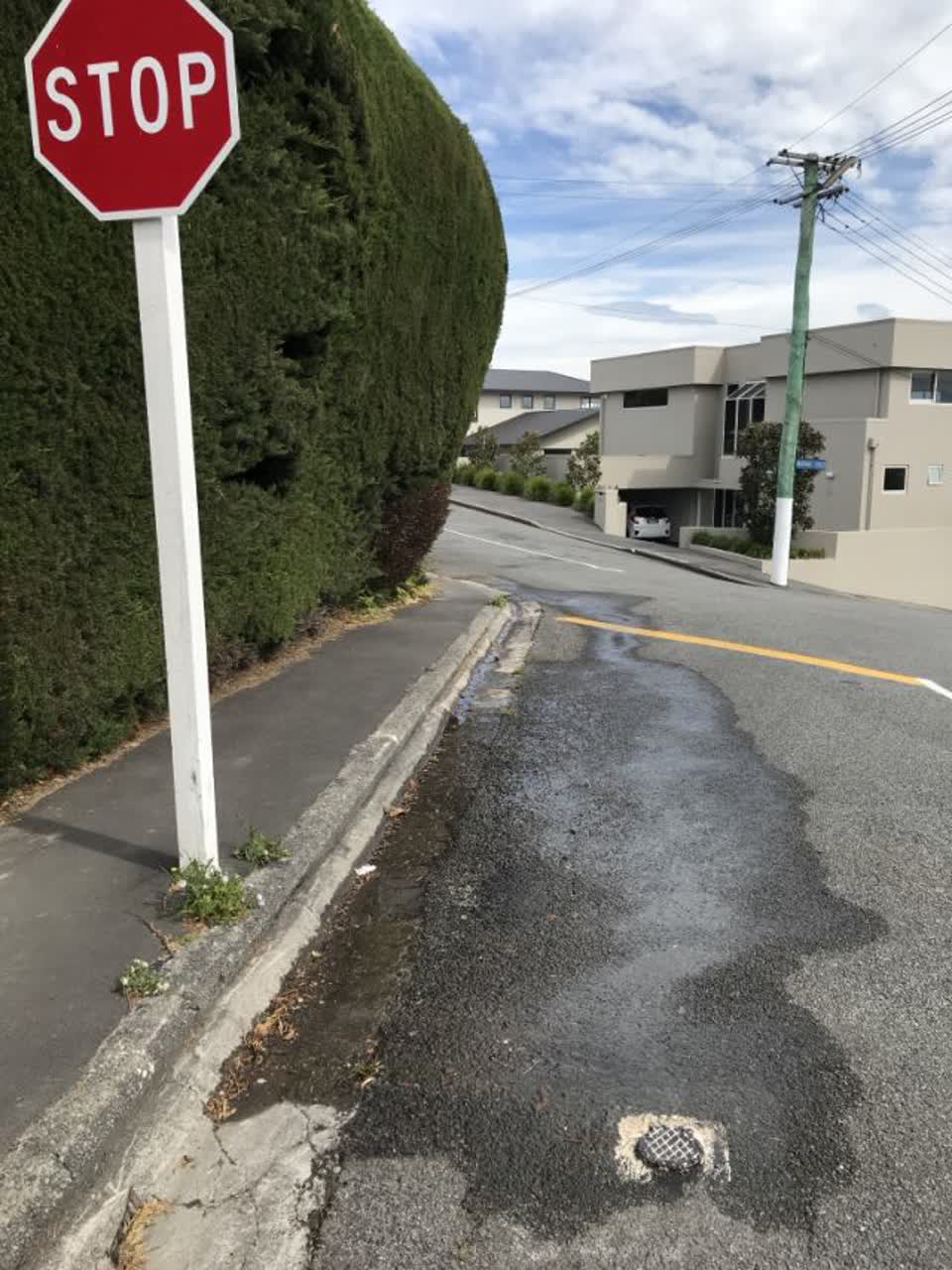 The photograph attached to this water supply report