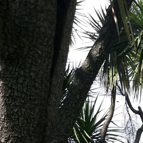 Parks — a report photo