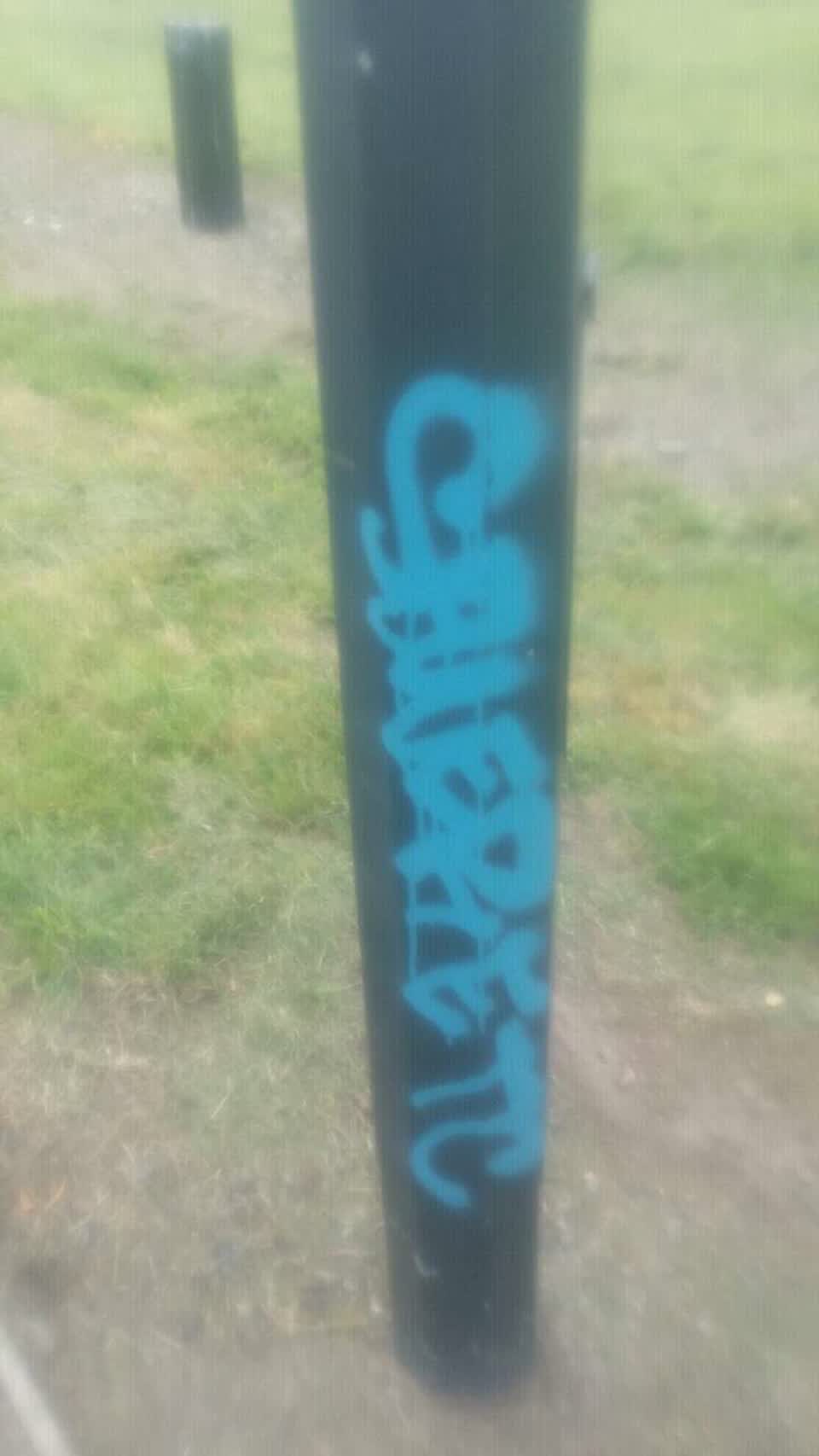 The photograph attached to this graffiti report