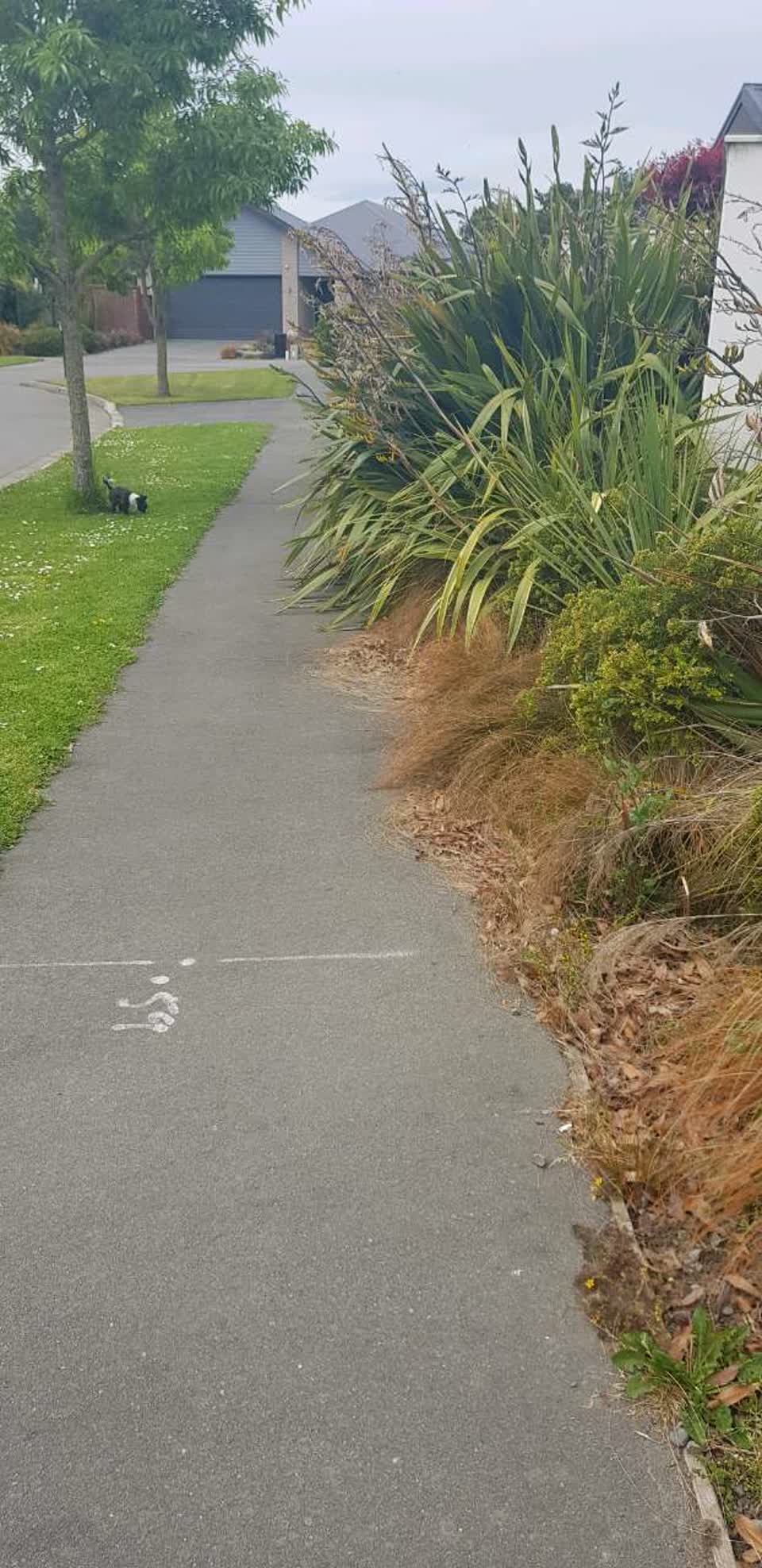 The photograph attached to this parks report