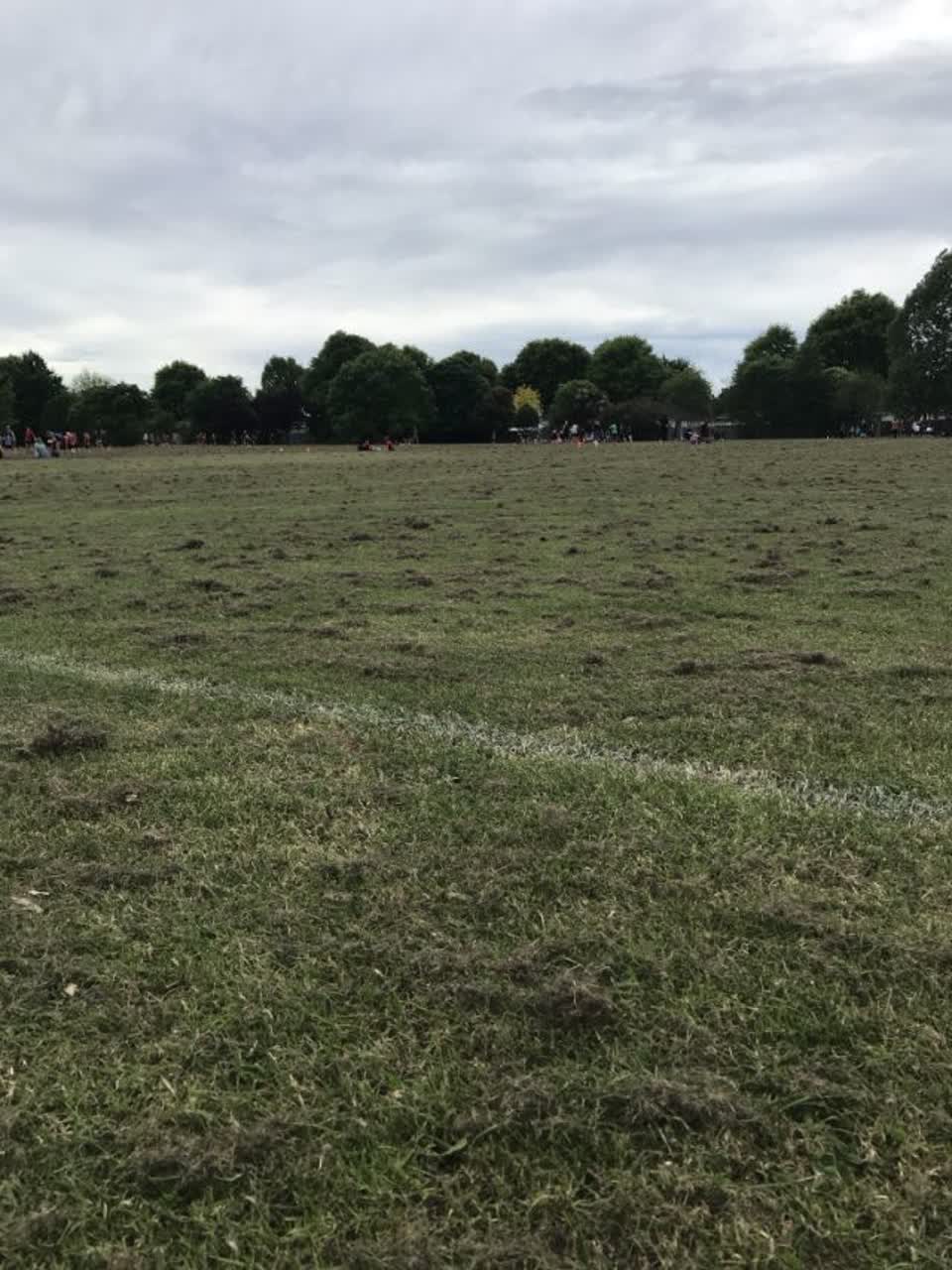 The photograph attached to this parks report