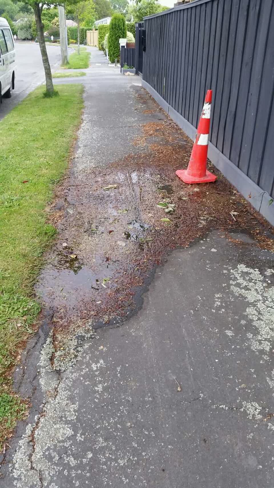 The photograph attached to this water supply report