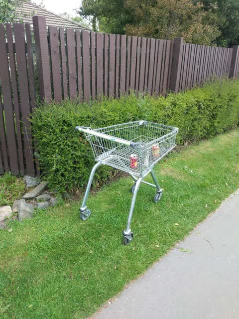 Rubbish/Recycling, a report photo