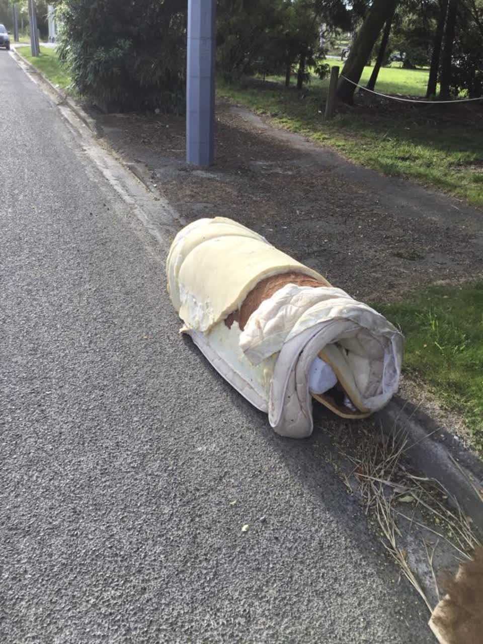 The photograph attached to this rubbish/recycling report