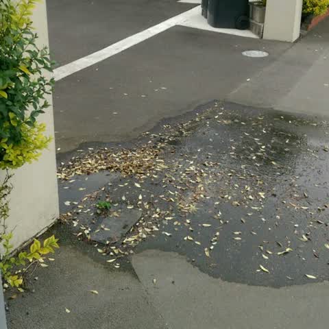 Water Supply, a report photo