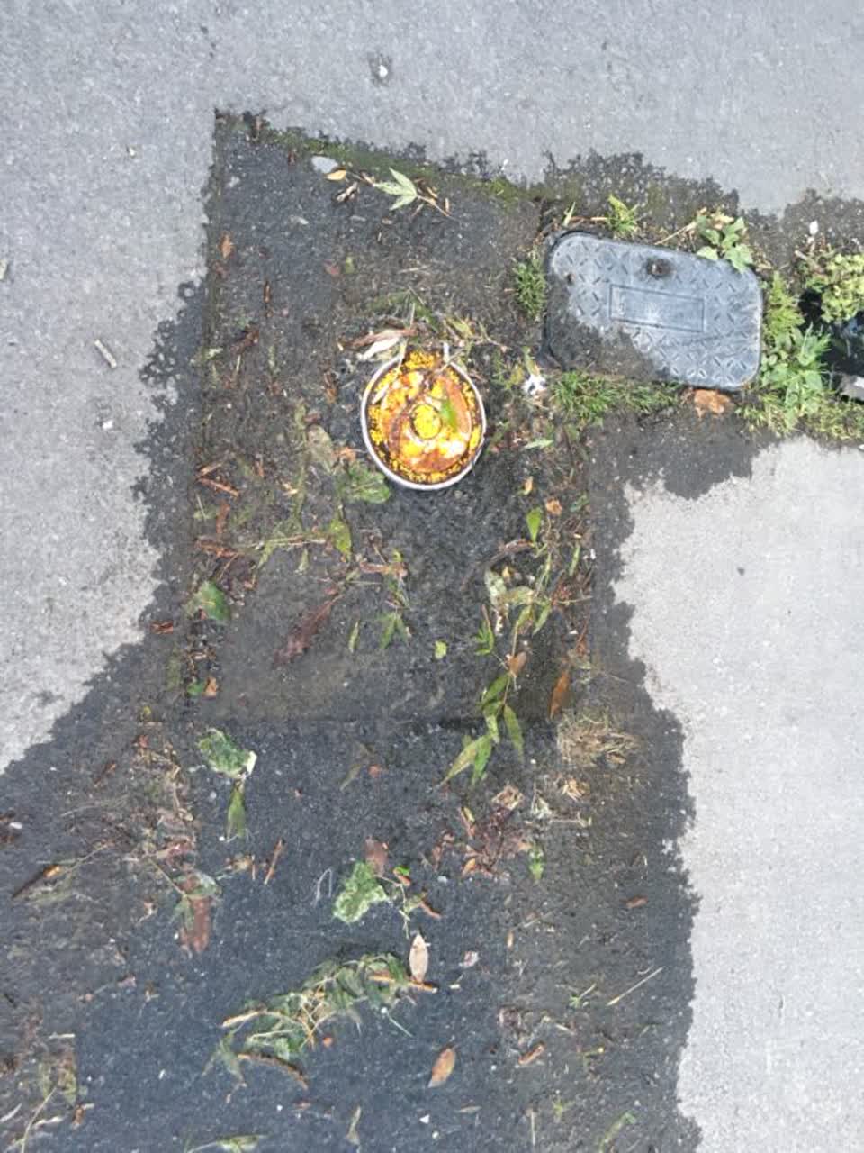 The photograph attached to this roading/streets report