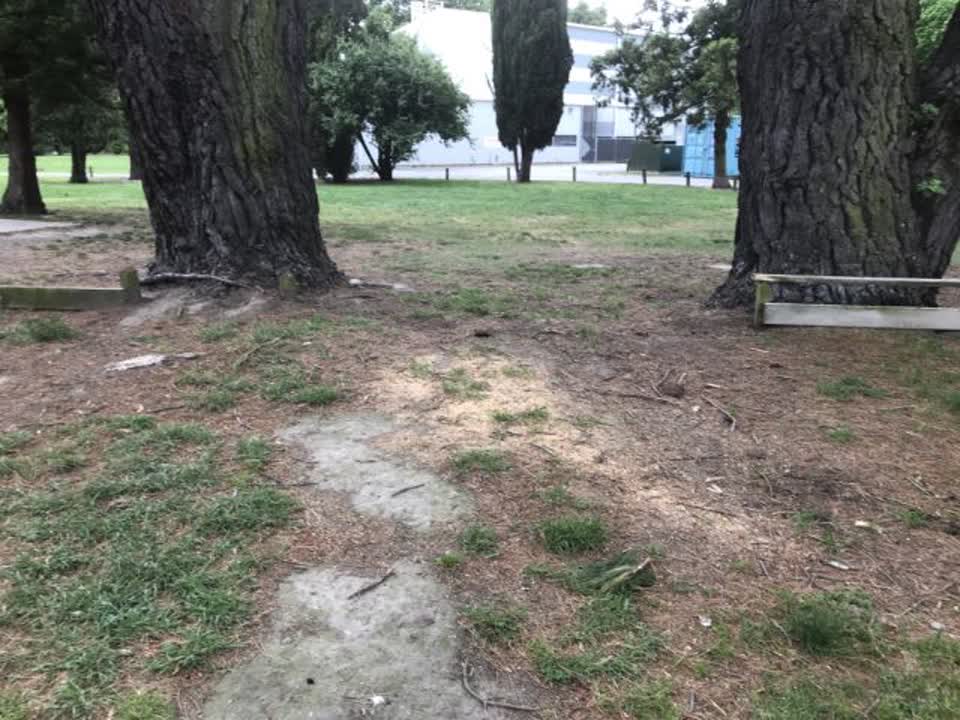 The photograph attached to this parks report