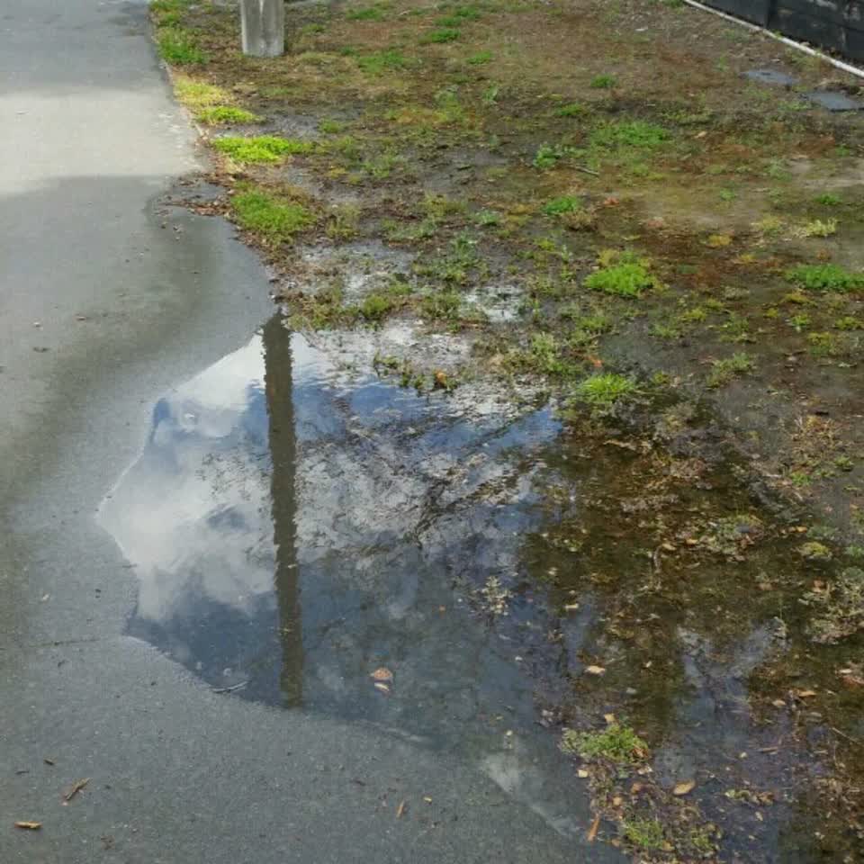 The photograph attached to this water supply report