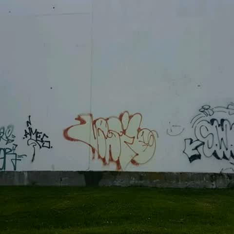 Graffiti — a report photo