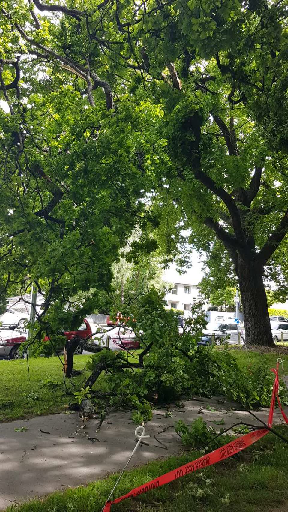 The photograph attached to this parks report