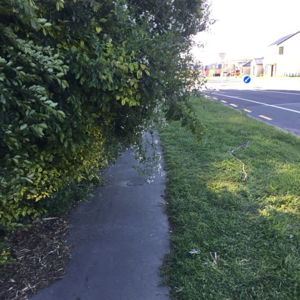 The photograph attached to this roading/streets report