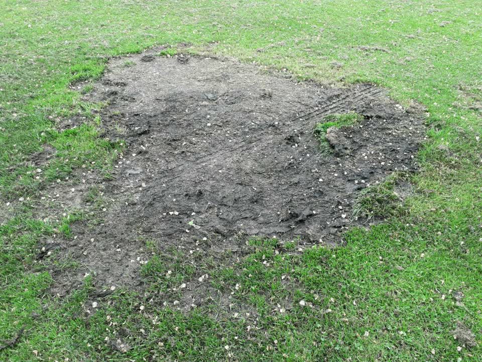 The photograph attached to this parks report