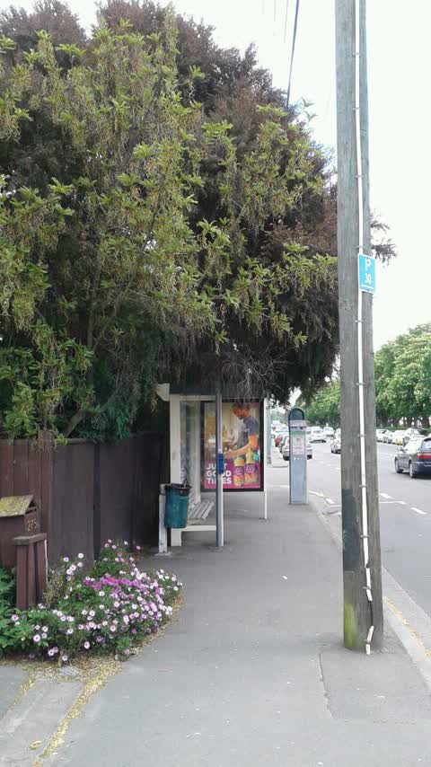 Roading/Streets, a report photo