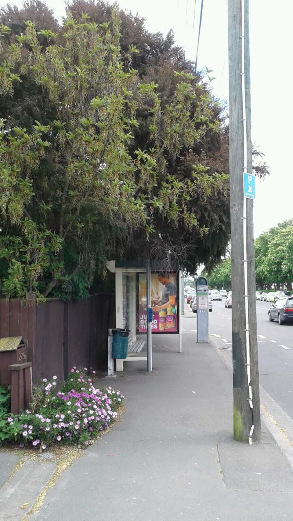 The photograph attached to this roading/streets report