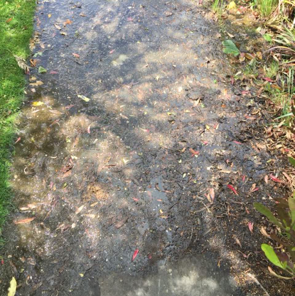 The photograph attached to this water supply report