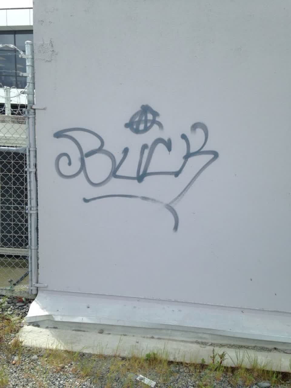 The photograph attached to this graffiti report