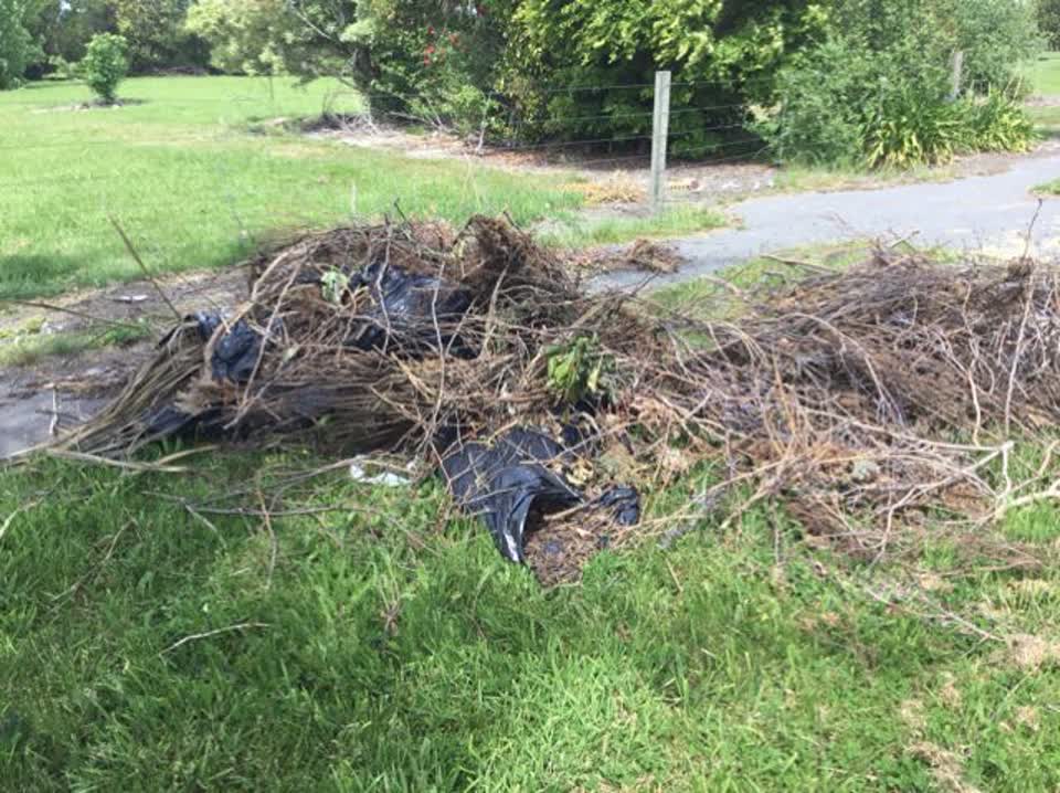 The photograph attached to this rubbish/recycling report
