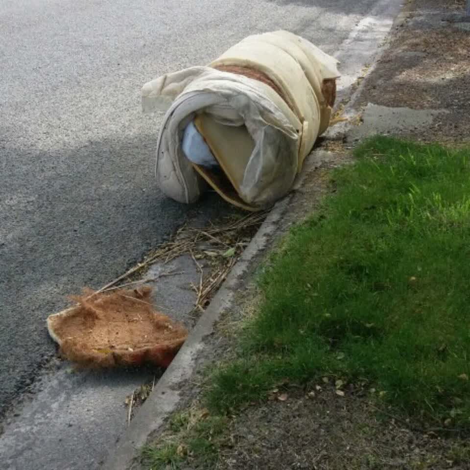The photograph attached to this rubbish/recycling report