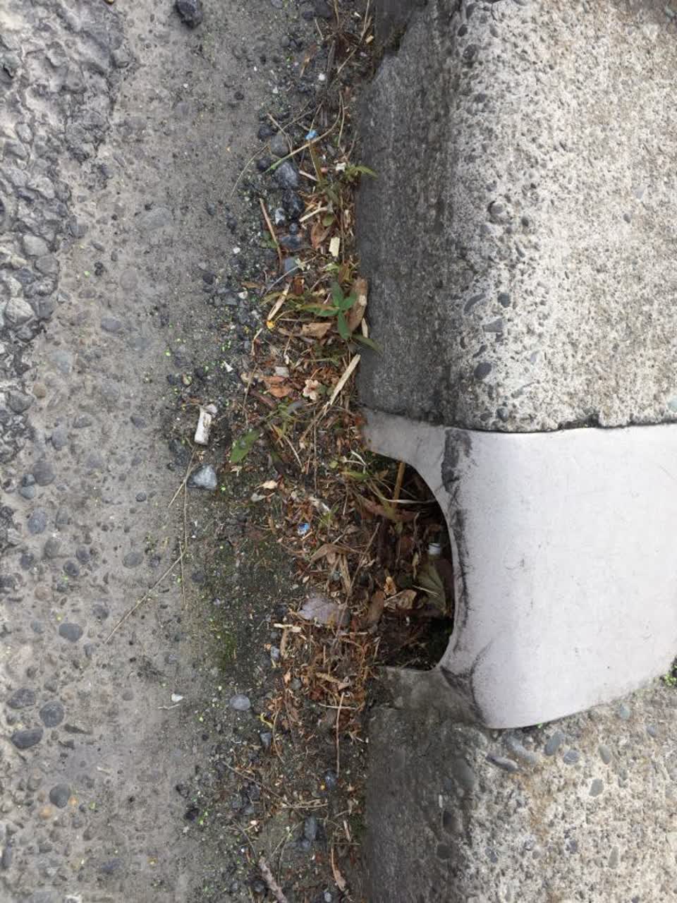 The photograph attached to this roading/streets report
