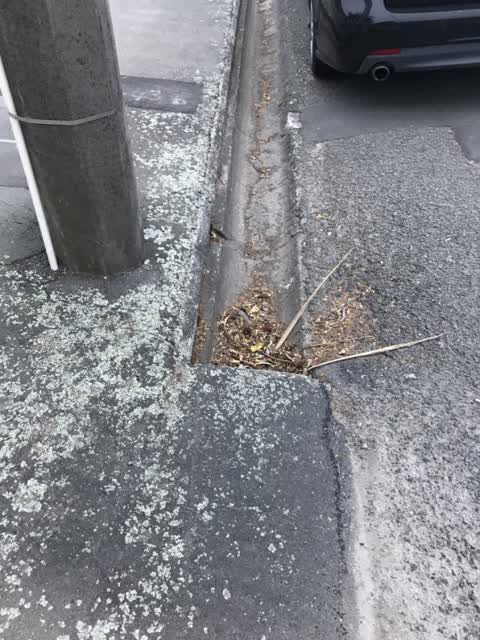 Wastewater/Stormwater, a report photo