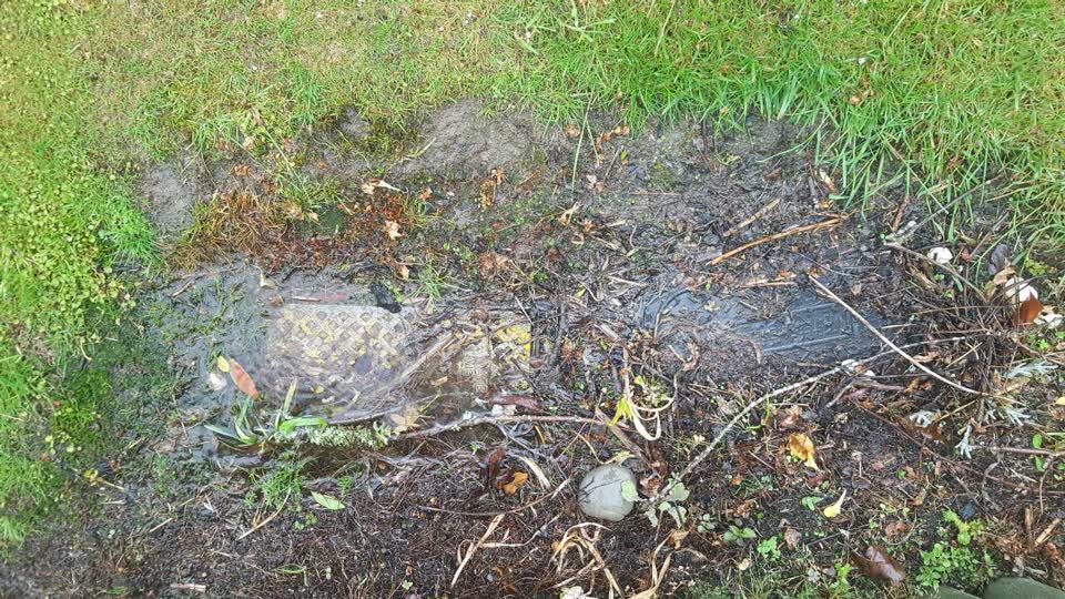 The photograph attached to this water supply report