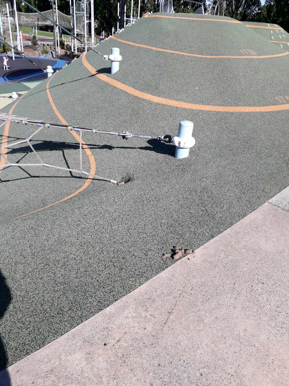 The photograph attached to this parks report