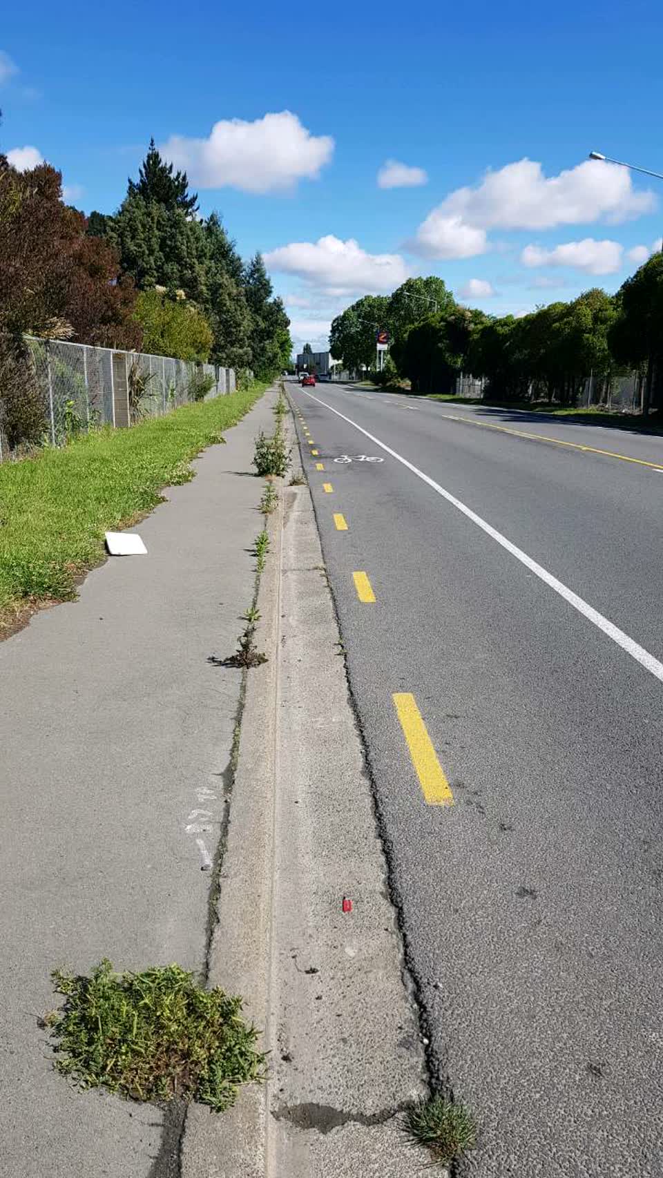 The photograph attached to this roading/streets report