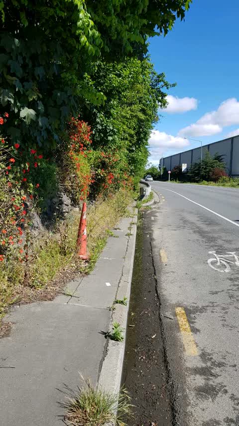 Roading/Streets, a report photo