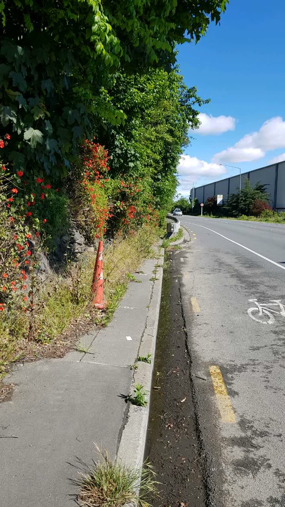 The photograph attached to this roading/streets report