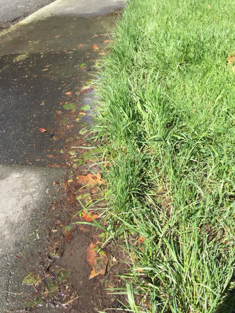 The photograph attached to this wastewater/stormwater report
