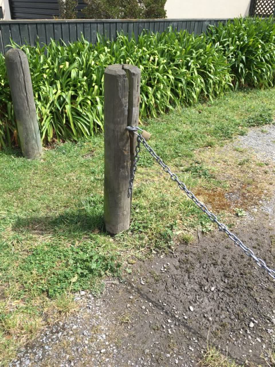 The photograph attached to this parks report