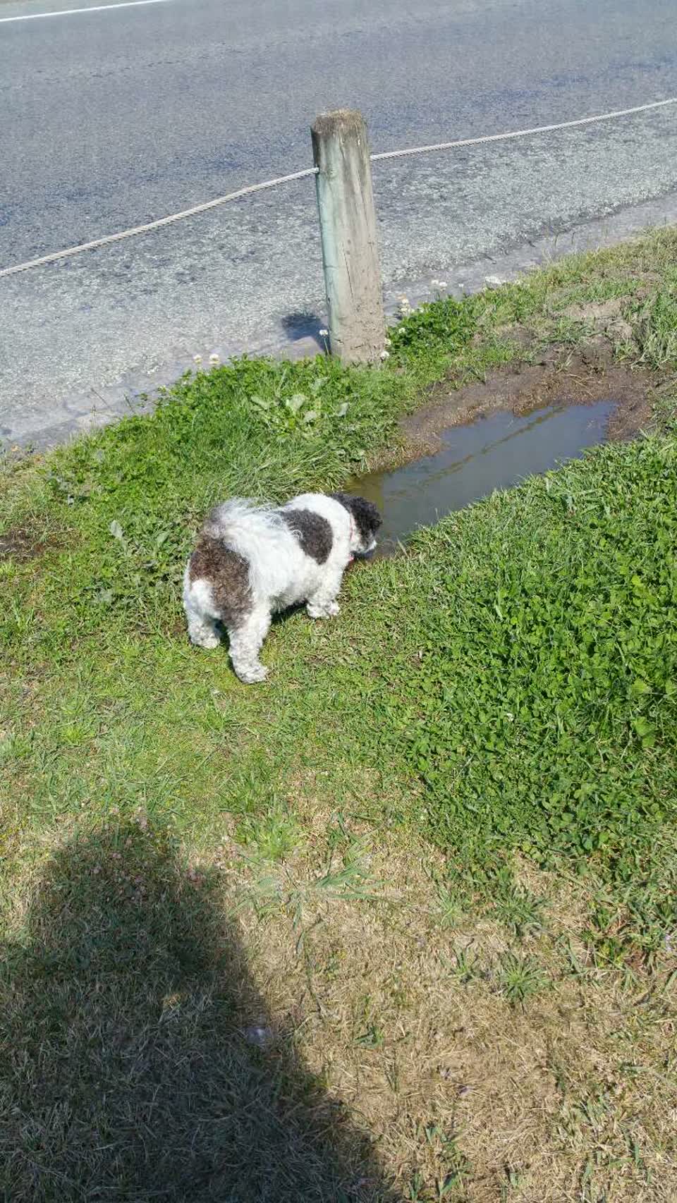 The photograph attached to this wastewater/stormwater report
