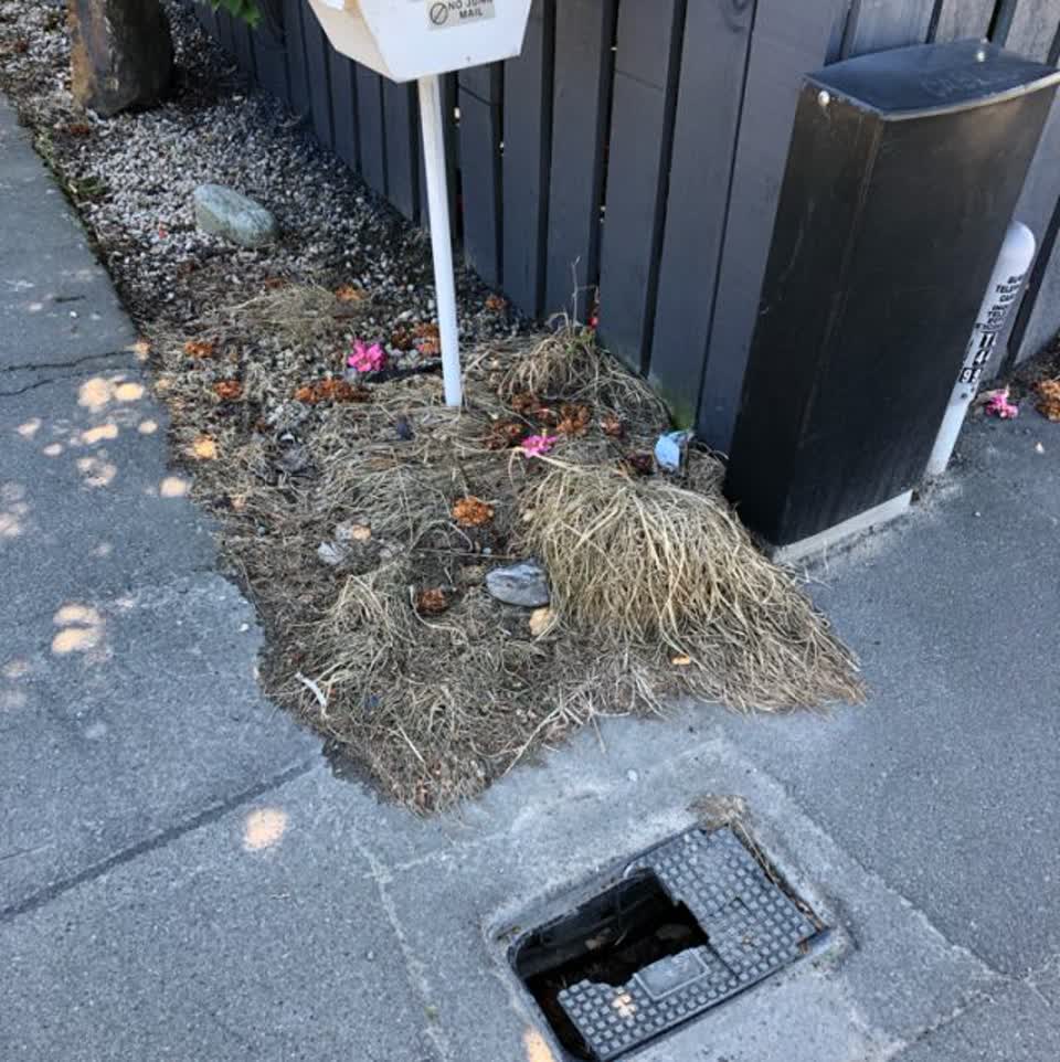 The photograph attached to this wastewater/stormwater report