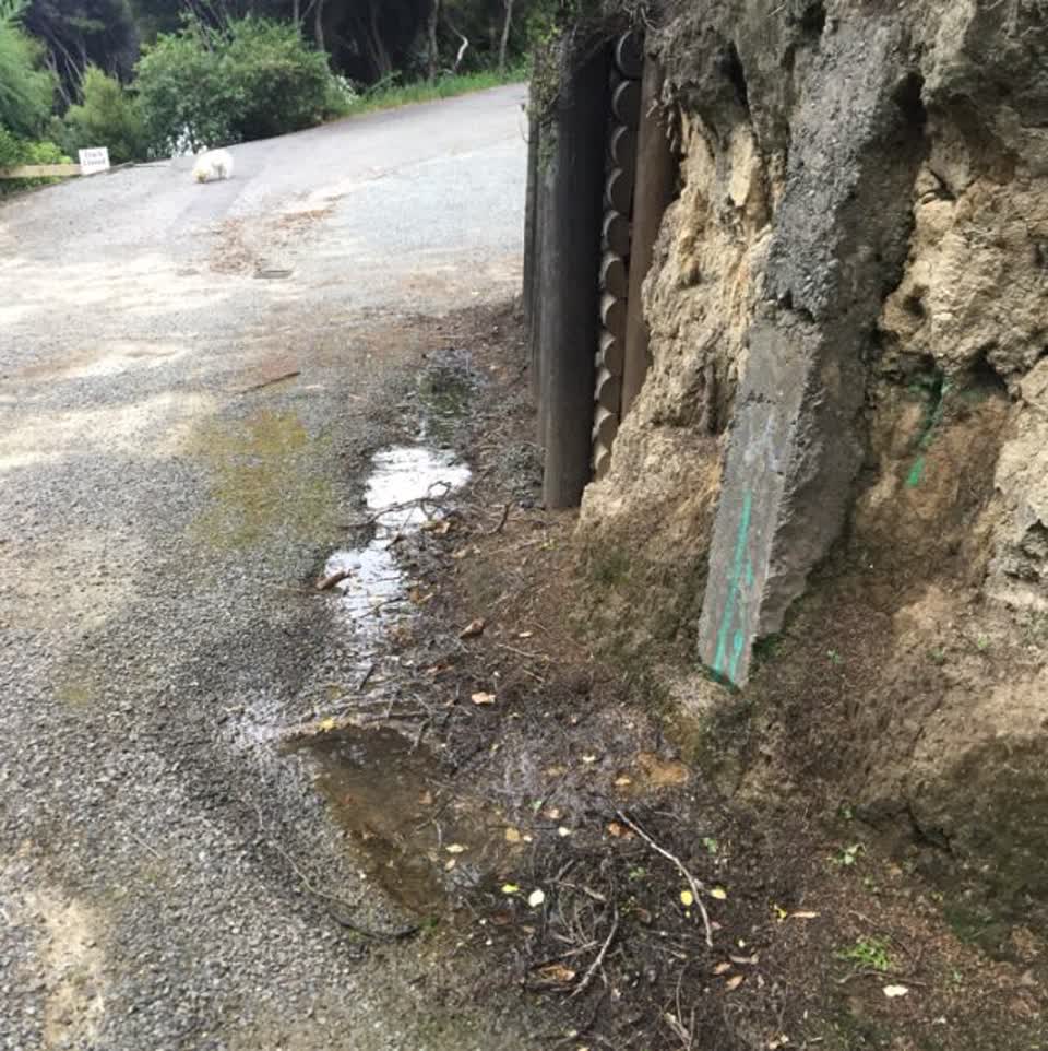 The photograph attached to this water supply report