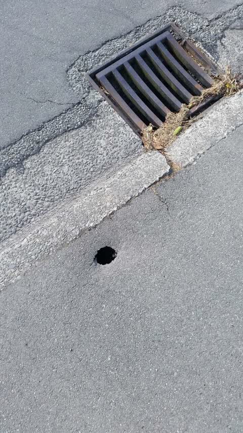 Wastewater/Stormwater, a report photo