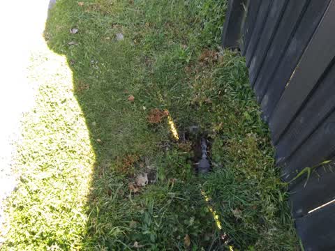 Water Supply, a report photo