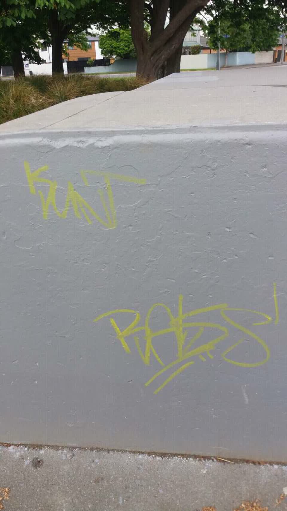 The photograph attached to this graffiti report