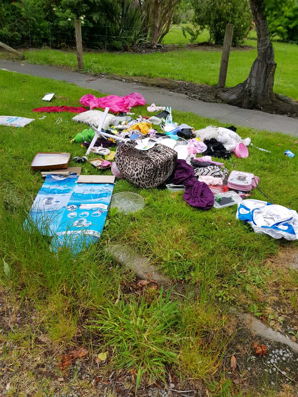 The photograph attached to this rubbish/recycling report