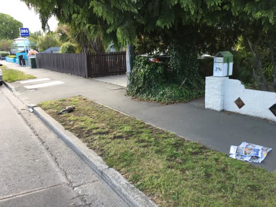 The photograph attached to this roading/streets report