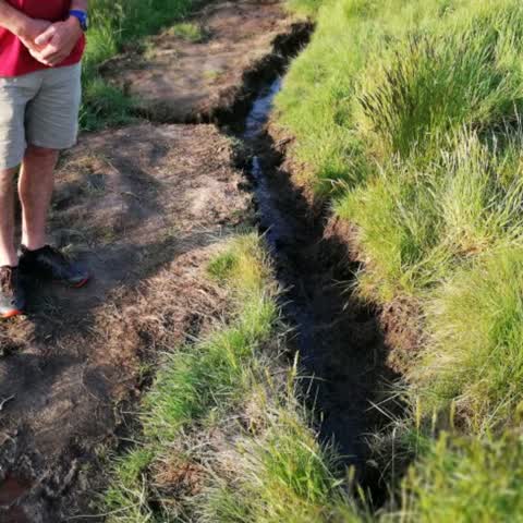 Water Supply, a report photo
