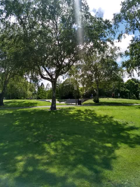 Parks, a report photo
