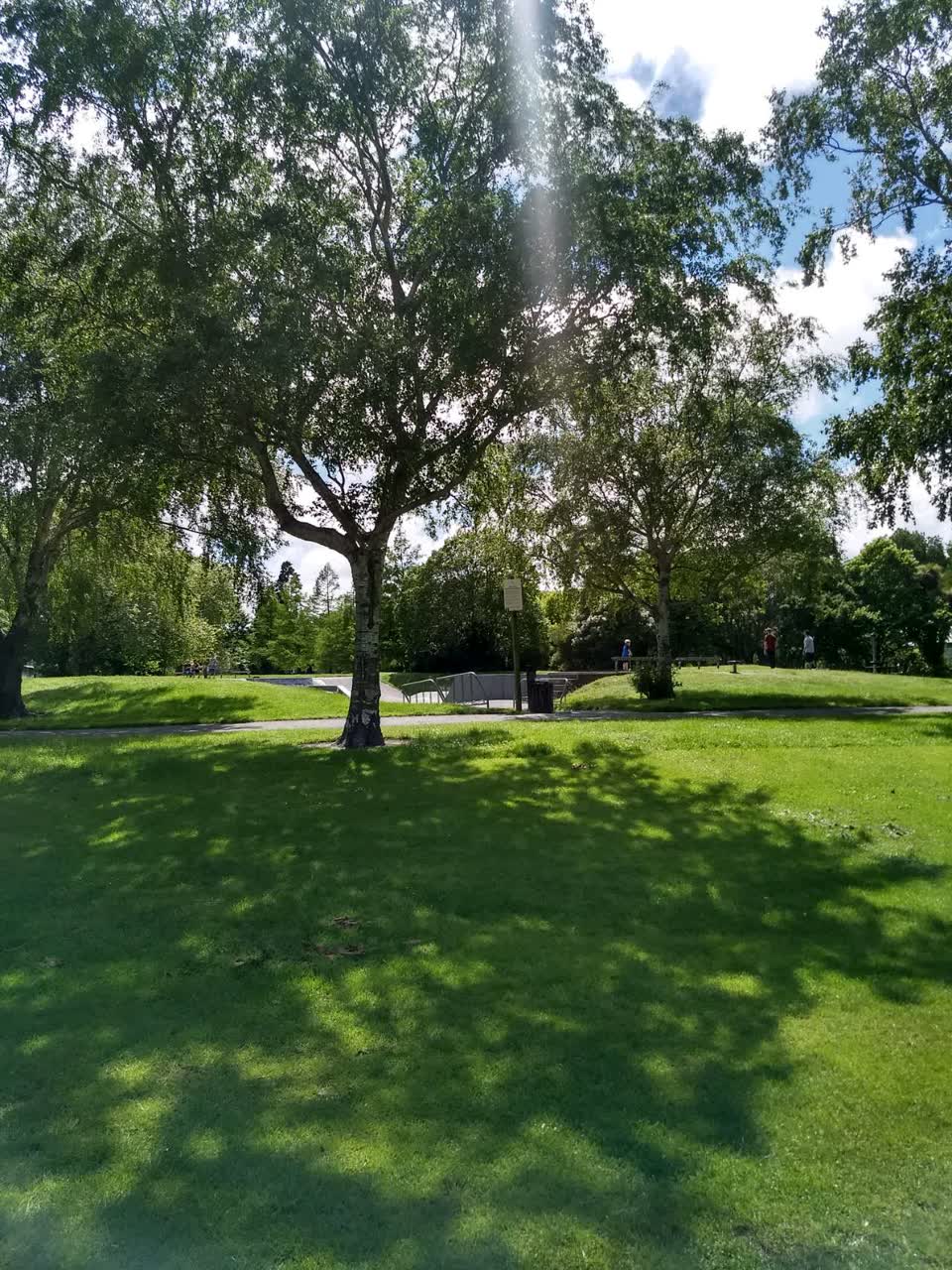 The photograph attached to this parks report