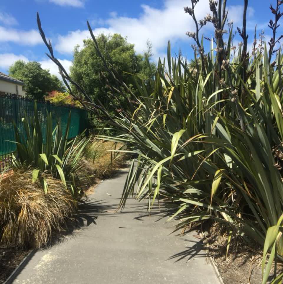 The photograph attached to this parks report